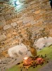 Ροµαντική minimal διακόσµηση στην εσωτερική αίθουσα