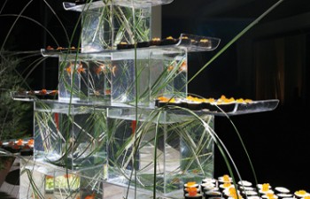 Sense Gourmet Sushi stand