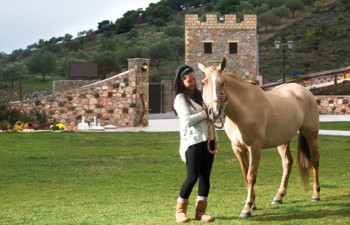 Περιηγηθείτε στις εγκαταστάσεις του ιπποστασίου και θαυμάστε τα υπέροχα άλογα